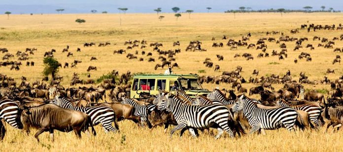 Afrika'da Safari Yerleri - Kidepo Vadisi Milli Parkı