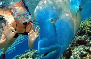 Herkesin Görmek İsteyeceği Dünya Harikaları Dünya Harikaları - Genel