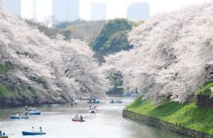 Görülmesi ve Gezilmesi Gereken 15 Park Dünyanın En Güzel Parkları - Ueno Park