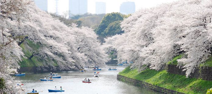 Dünyanın En Güzel Parkları - Ueno Park