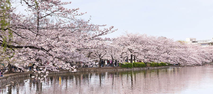 Dünyanın En Güzel Parkları - Ueno Park - Genel
